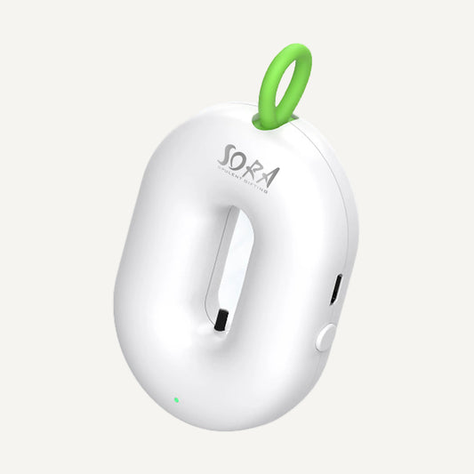 Air Purifier Charm