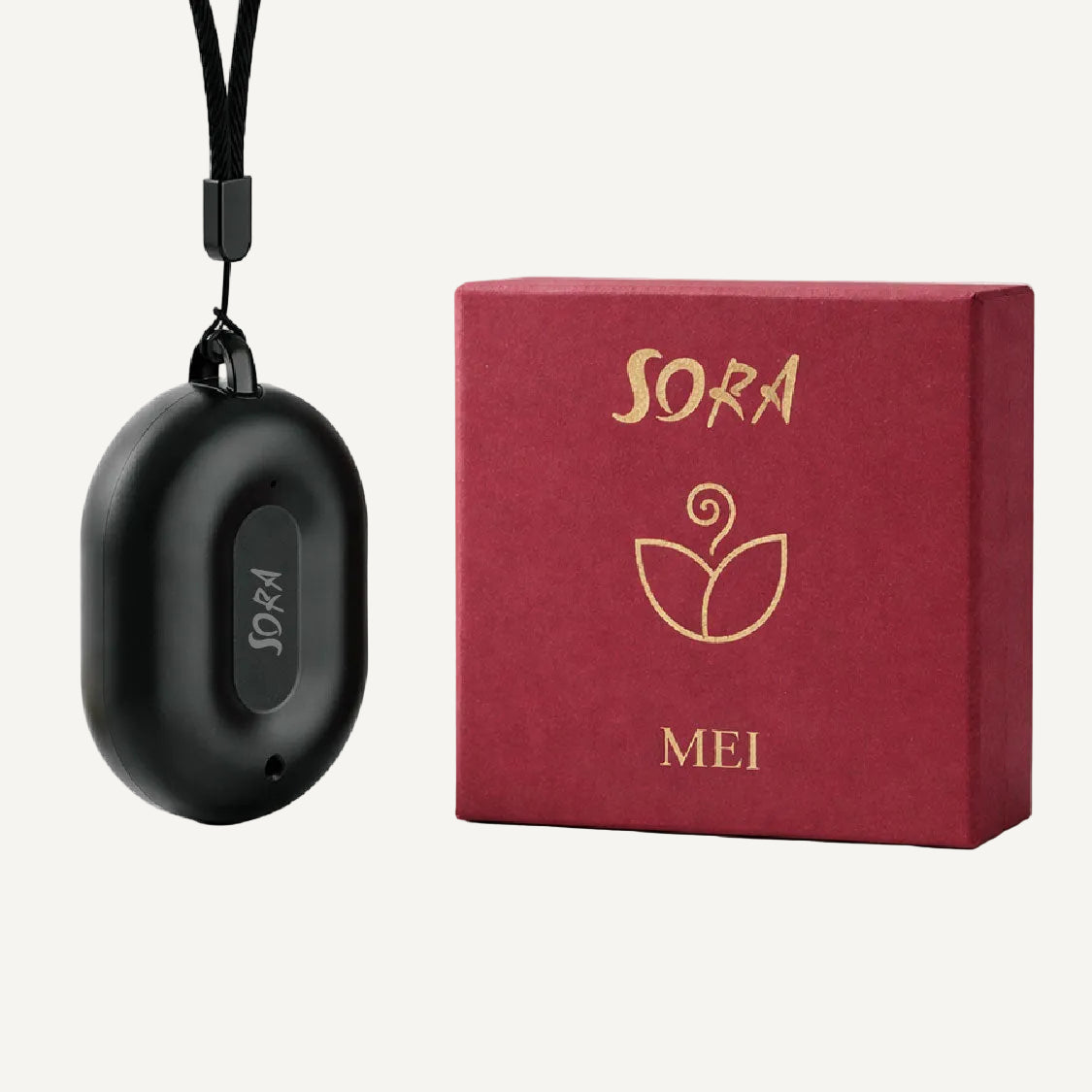 Wearable Air Purifier