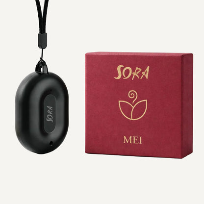 Wearable Air Purifier