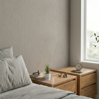 Air Purifier Plant