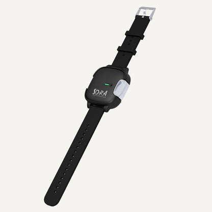 Air Purifier Wristband