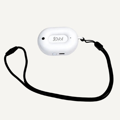 Wearable Air Purifier
