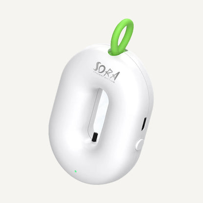 Air Purifier Charm