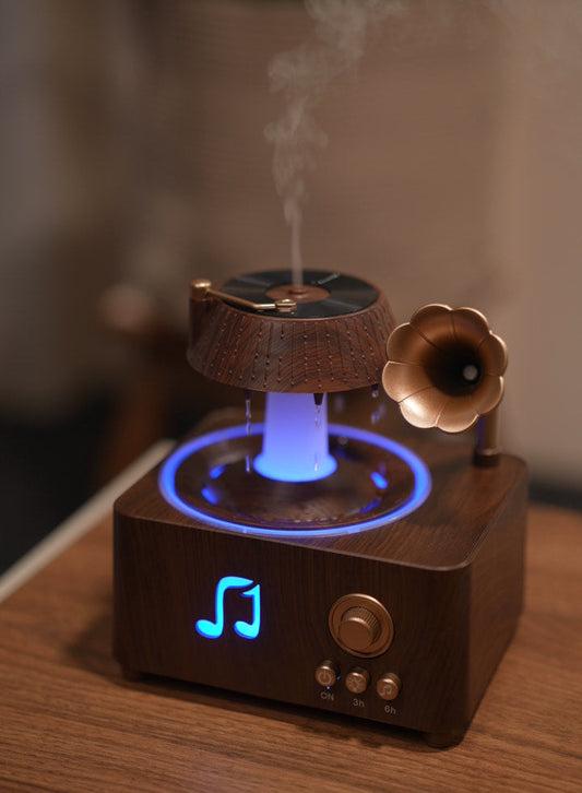 Vintage Record Rain Diffuser