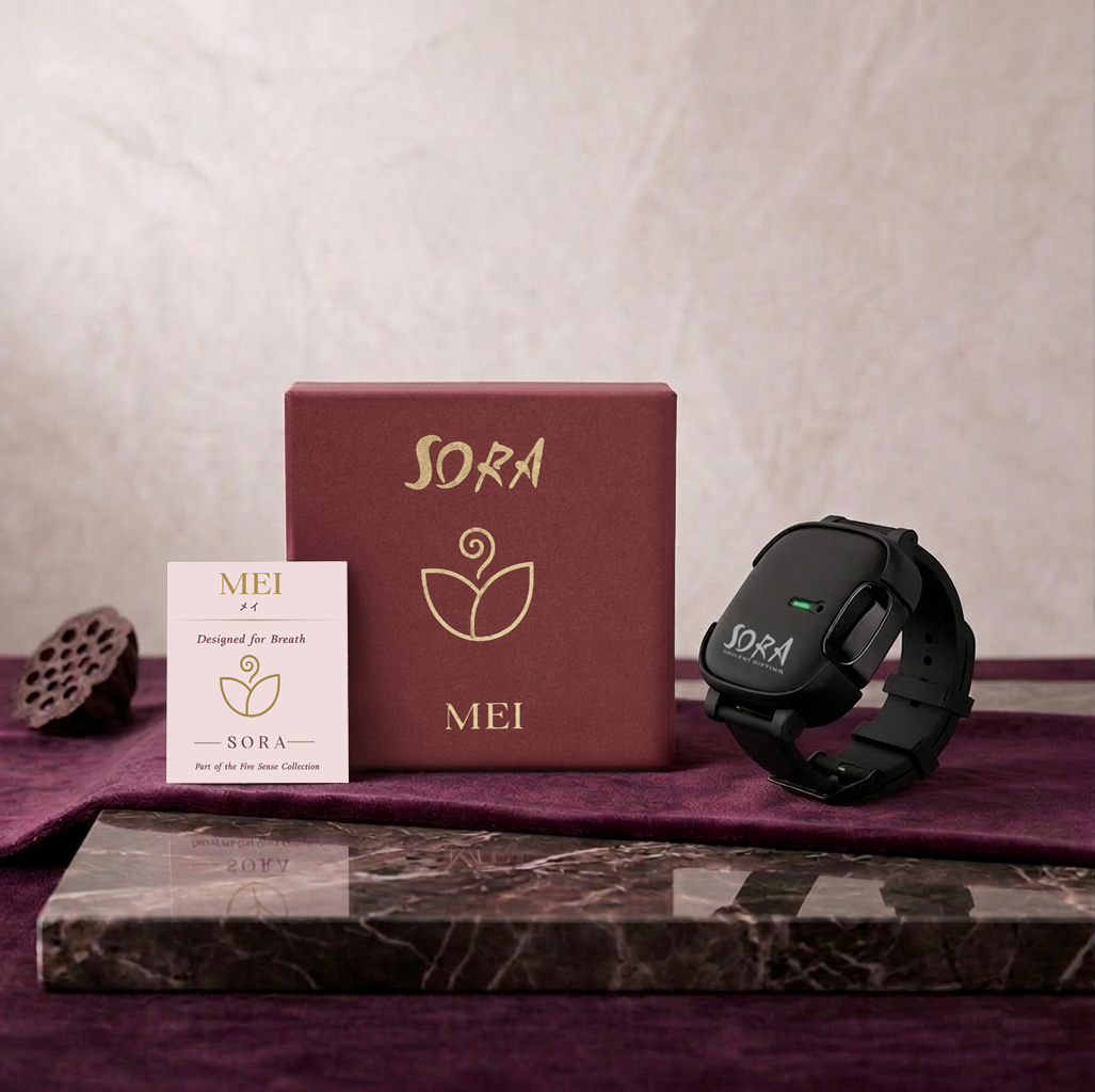 Air Purifier Wristband