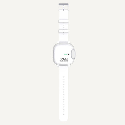 Air Purifier Wristband